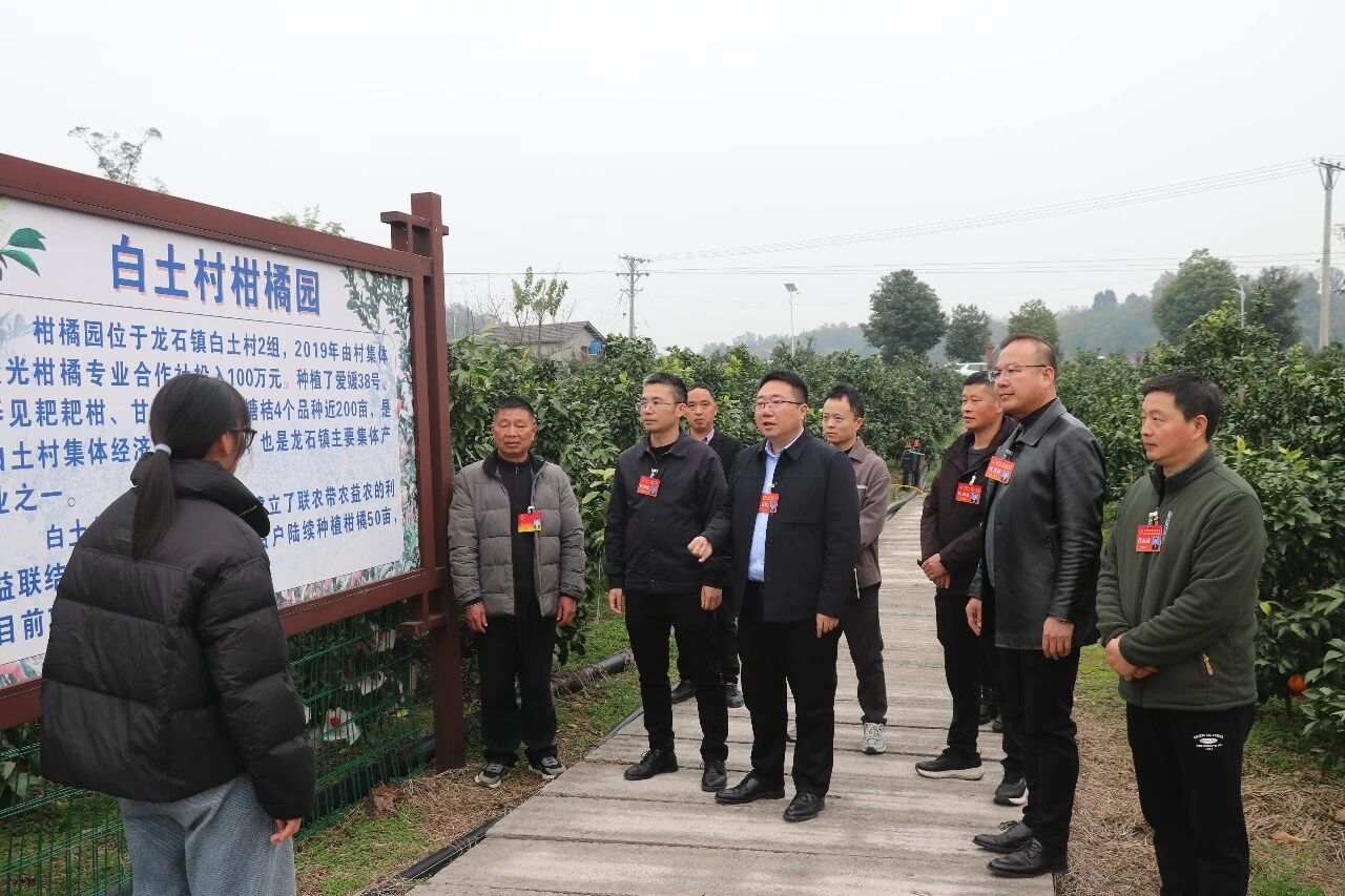 微信图片_2025-12-25_091322_598