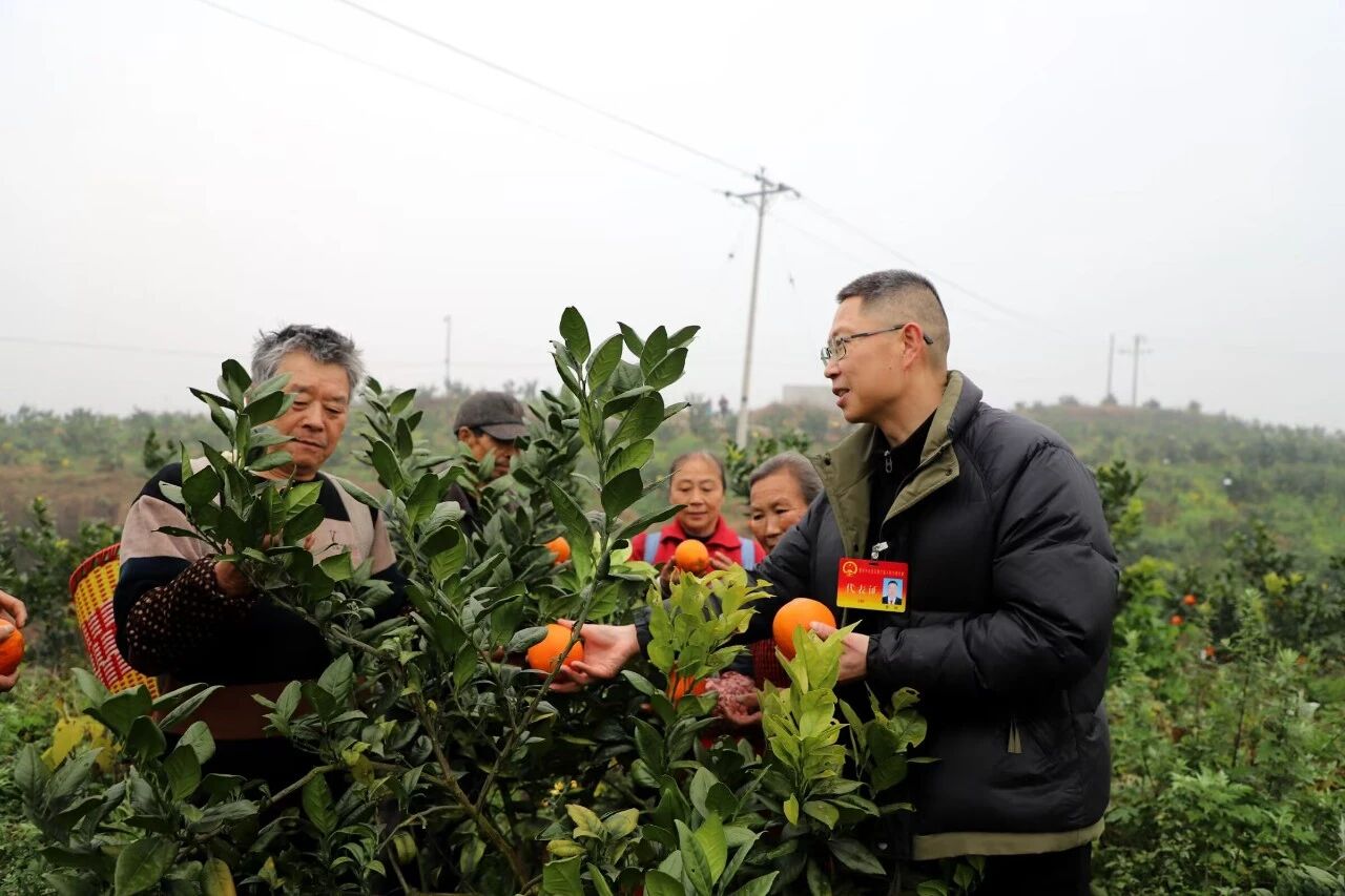 微信图片_2026-01-29_090001_372