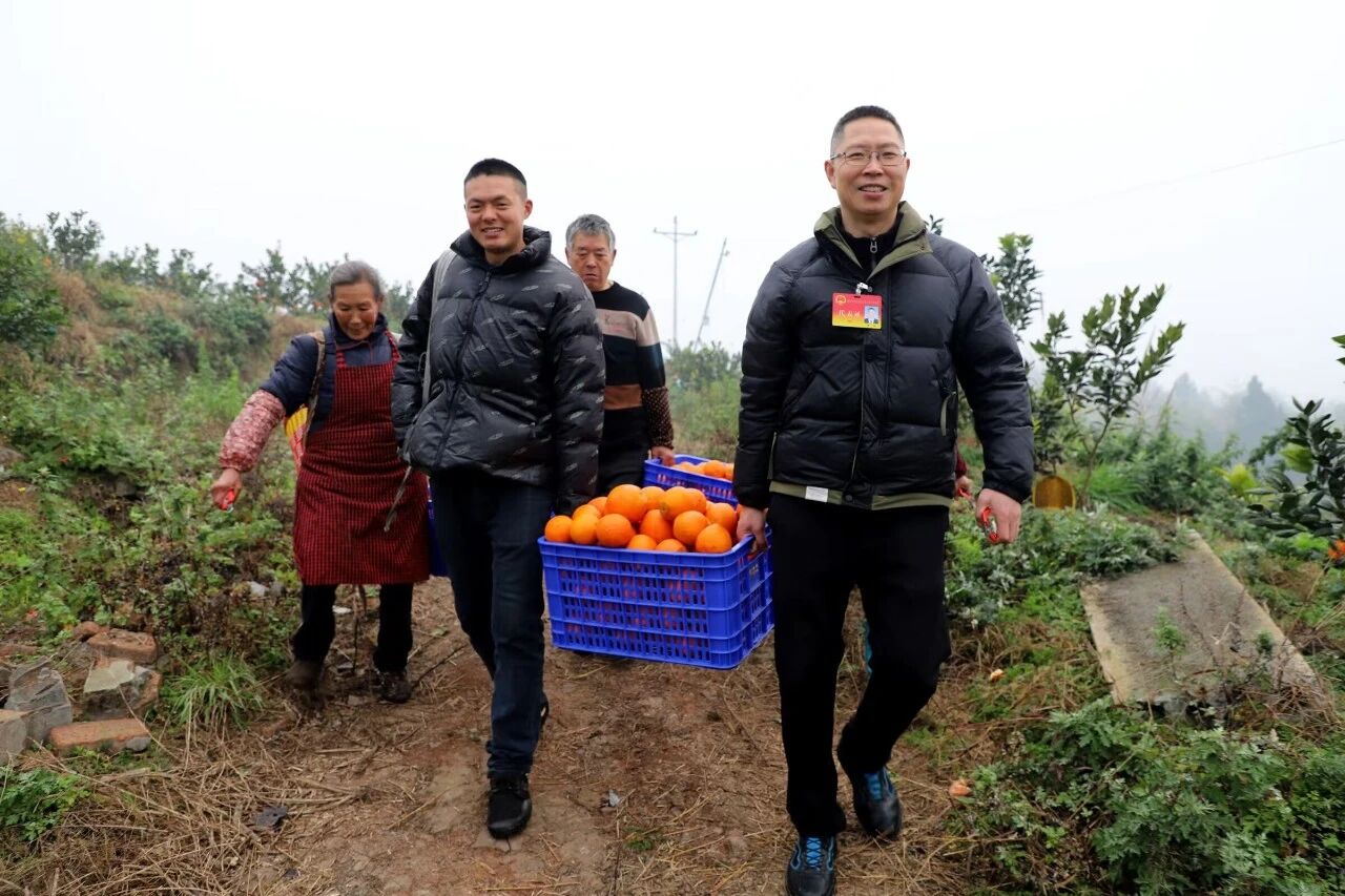 微信图片_2026-01-29_085954_482