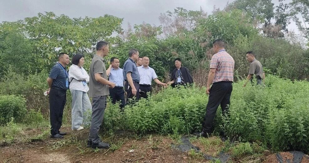 微信图片_2026-06-03_084707_774